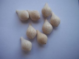 0.4g pear balsa bodies 1mm bore(8)