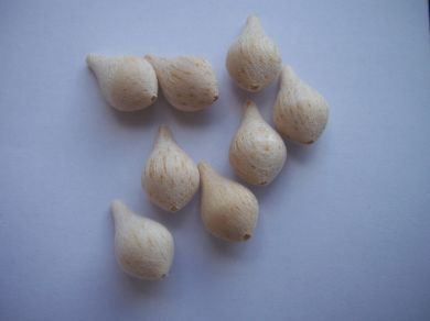 pear body