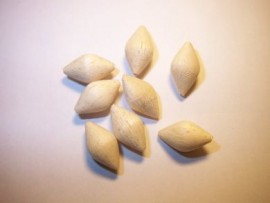 0.4g slightly rounded diamond balsa bodies 1mm bore (8)