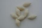 0.5g rounded diamond foam bodies 1mm bore(8)