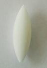0.1g steady foam body 1mm bore (8)
