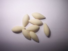 0.2g tear foam bodies 1mm bore(8)